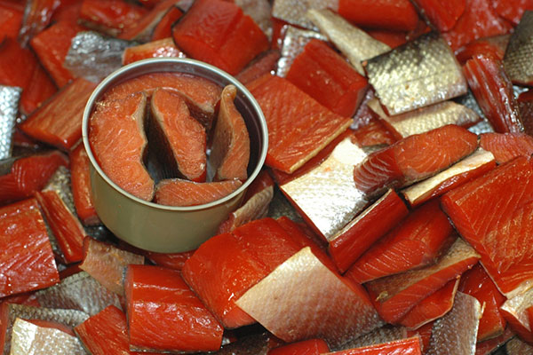 Captain jim s alaska smoked salmon recipes Captain jim s alaska smoked salmon recipes
