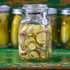 National Pickle Day StateGiftsUSA.com